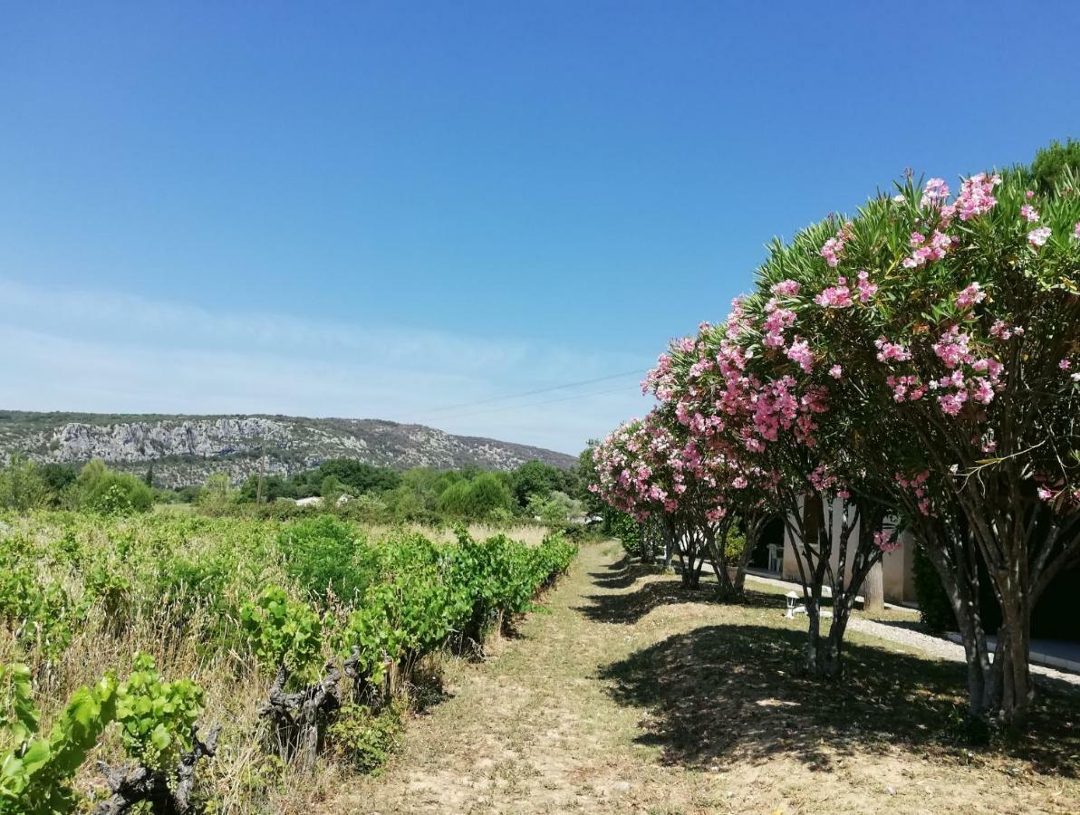 Espace Loisirs Hotel Saint-Martin-d'Ardeche Luaran gambar